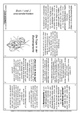 Blumensprache-Lapbook-Tulpe-SW-1-2.pdf